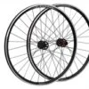 Raleigh Pro Build Rear Tubeless Ready Disc Road/Cx 700C Q/R Wheel