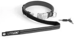 Front Page -Wheelies Shop 217562 2 Large