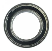 Enduro Bearings 61802 SRS - ABEC 5 Bearing